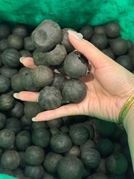 lemon hitam atau lemon kering import