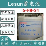 Lesun蓄電池6-FM-24免維護12V24AH機房消防主機應急平層備用電源