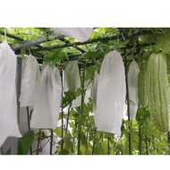 100 túi bọc dưa leo mướp đắng dưa chuột khổ qua bơ xoài kt 15x30 bằng vải không dẹt