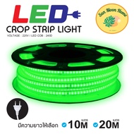 ไฟตกแต่ง LED COB Strip Light ความยาว10เเละ20เมตร รุ่น TSM-SL10TSM-SL20