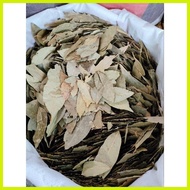 ㍿ ◭ ⭐ 1kg Laurel Leaves l Bayleaves I Dahon ng Laurel