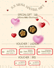 3.3 IRIS BOUTIQUE New year Special Gift earrings GV0012