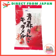 Ragunoo Sasaki Aomori apple caramel 100g [Direct from Japan]