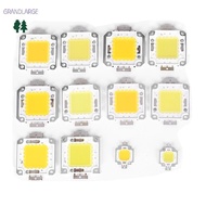 [GrandLarge] 1pc cob led light dc led bulb chip on board 10W 20W 30W 50W 70W 100W 2 colors MY
