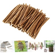 Acrux7 300 PCS Kayu Kraf, Ranting Semula Jadi 4 Inci untuk Kraf, Kayu Log untuk Projek Kraf DIY, Hia