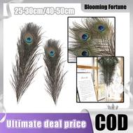 10PCS Peacock Eye Tail Feather 25-50cm Natural Peacock Feather Exquisite Peacock Feather Craft Decor