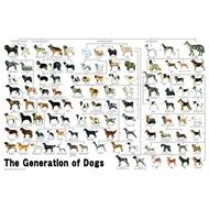 【Direct from Japan】 1000 Piece Jig Saw Puzzle Aiming! Puzzle Master's Dog 50x75cm