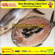 Ikan Bandeng Cabut Duri /Ikan Bandeng Segar / Fresh Milkfish (Jumbo)