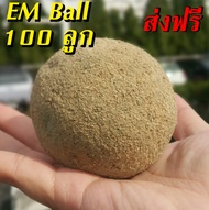 [ ส่งฟรี ] EM Ball จุลินทรีย์ บำบัดน้ำเสีย ชนิดก้อน 1 ลังบรรจุ 100 ลูก ทำให้น้ำใส ลดกลิ่นเน่าเหม็นใน