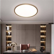 【免運】led護眼學習燈輕奢簡約三色調光客廳燈具 新特麗皓月