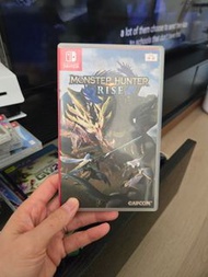 Switch monster hunter