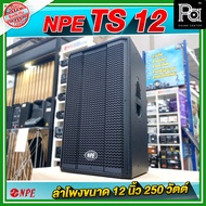 NPE TS 12 ตู้ลำโพง ขนาด 12 นิ้ว 2Way กำลังขับ 250W ที่ 8 โอห์ม เหมาะกับการฟังเพลง ร้องเพลง แสดงสด วั