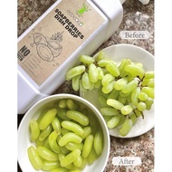 Eco Coco Soapberries Essential Oil Dish Wash - 2 Litre