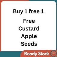 [Free with Purchase] Custard Apple seed