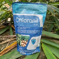 Fungisida Chloronil 75 WP 1kg