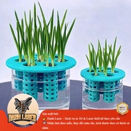 Smart Hydroponic Nursery Cover - Multi-purpose Onion, Garlic, and Sprout Growing Tool for All Types 