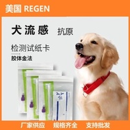 International Brand Dog Flu CIV Test Paper Anti-Original Test Card Pet Dog Test Paper Supply 5.12