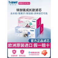 Germany bwt Water Purification Kettle Filter Element Best Filter Kettle Water Purifier Original Magn