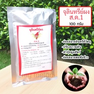 จุลินทรีย์ผง ส.ด.1 จุลินทรีย์เพื่อการเกษตร 100 กรัม ย่อยสลายอินทรีย์วัตถุ ปรับสภาพดิน ทำปุ๋ยมูลสัตว์