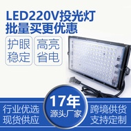Outdoor LED Flood Light LED High Power Lamp Outdoor Flood Light 1W Stall Lighting Outdoor Waterproof