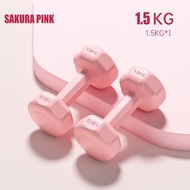 Dumbell 1kg/2kg/3kg Gym Dumbbell Exercise Fitness Exercise Home Weight Training Workout Neoprene Dum