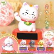 日本正版 招財貓 貓咪 貓貓 太陽能 扭蛋