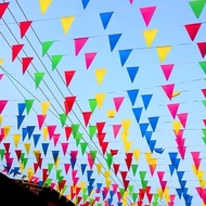Fiesta Colored Flag Multicolor Bunting Triangle Flags Birthday Party Grand Opening Decorations