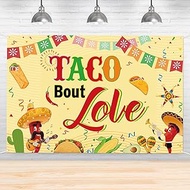 Taco Bout Love Backdrop, Mexican Fiesta Theme Engagement, Bridal Shower, Wedding Party New Year Deco