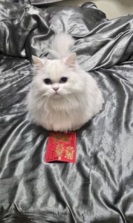 男按摩師
