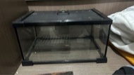 爬蟲 玻璃飼養箱