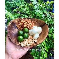 Ovan Decor Food Coconut Shell Plate