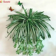 【SWTDRM】Artificial Chlorophytum Decoration Orchid Plant Silk Balcony Chlorophytum