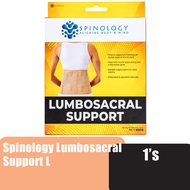 Spinology Lumbosacral Support Size (L) Lumbar Support / Waist Support / Backbone Support for Sciatic