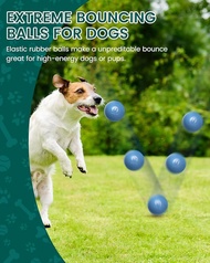 SCHITEC Dog Balls ทำลายไม่ได้ [2 Pack] Solid Rubber Bouncy Fetch Ball For Aggressive Chewers Durable
