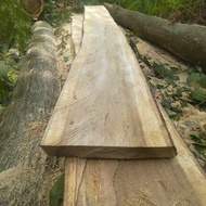 wood slab akasia baru(Fresh)