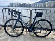 Giant 碳纖/碟剎公路單車