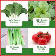 ☑ ◨ Sale All in 4 in 1 Pack Seeds (Pechay, Mustasa, Okra, Kamatis) Vegetable Garden Pot Outdoor Pla