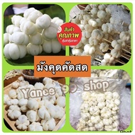มังคุดคัดสด กรอบ หวาน อร่อย ของดีเมืองคอน💥1 กิโลกรัม 💥ฟรีน้ำปลาหวาน💥 มังคุดคัดเกรด 🅰️