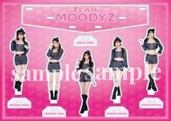 毛毛小舖--AV女優壓克力立牌 A4尺寸 チームM 中山ふみか 月雲よる 新ありな 石原希望 百田光希