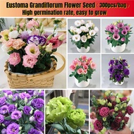 [Fast Growing] Mixed Colours Eustoma Grandiflorum Flower Seeds (300pcs/bag) Eustoma Lisianthus Bonsa