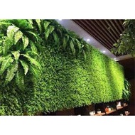 HCM Grass for garden and balcony decoration