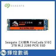 希捷 SEAGATE 火梭魚 510系列 2TB 固態硬碟 (PCIe M.2) SSD 送Pcie M.2 轉接卡