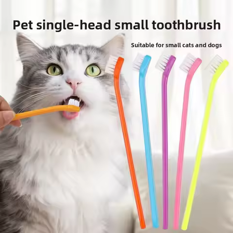 6pcs Pet toothbrush, Cat Oral Cleaning, Cat Toothbrush, Dog Single Head Dog Toothbrush, Pet Supplies