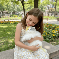 17.7 Inch/45cm Realistic Tricolor Plush Cat Doll, Lifelike Soft Stuffed Animal Figurine, Cute Lying 