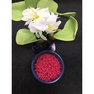 Decoration Red Sand for aquarium / Habitat Channa Fish color enhance / all purpose planting decoration