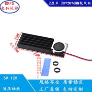 2006 Blower SSD2280 Desktop M2 Solid State Drive Radiator Radiator 22110 Cooling Fan
