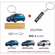 DOLPHIN ev 2d keychain