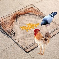 กับดักไก่ กับดักไก่ดักนก กับดักนกและไก่ โครงเหล็ก แข็งแรง ดักไก่ ดักนก 50x60ซม. พร้อมส่ง Before me -