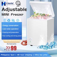 Hamle Freezer Inverter Chest Freezer Cooler Refrigerator Mini Freezer Multifunction Upright Freezer