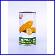 ⚽ ♗ ✟ Condor Bravado F1 Hybrid Sweet Corn Seeds